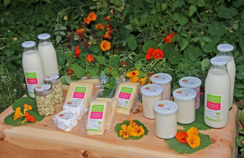 Milch und Käse von der Milchwerkstatt