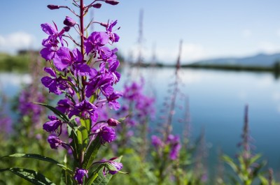 Kurz mal Weg Pauschale © Wagrain-Kleinarl Tourismus